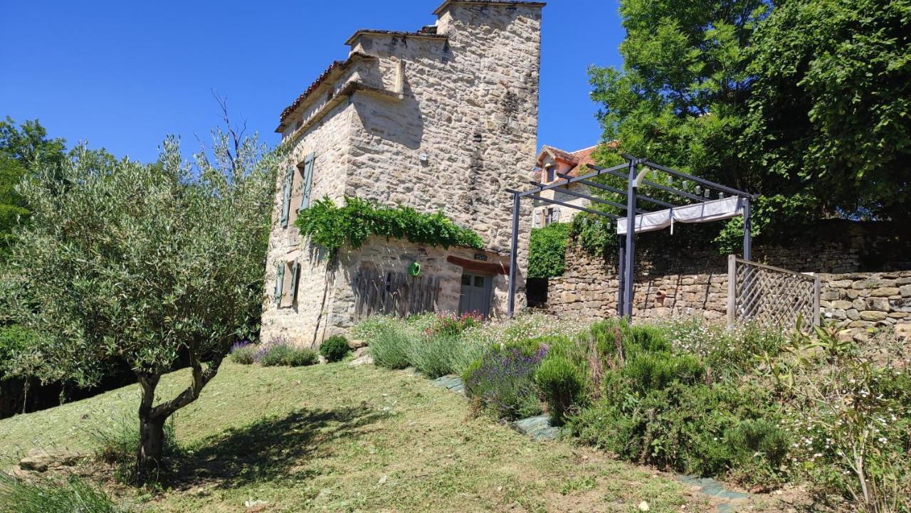 Vila Le Pigeonnier De Felines Caylus Exteriér fotografie