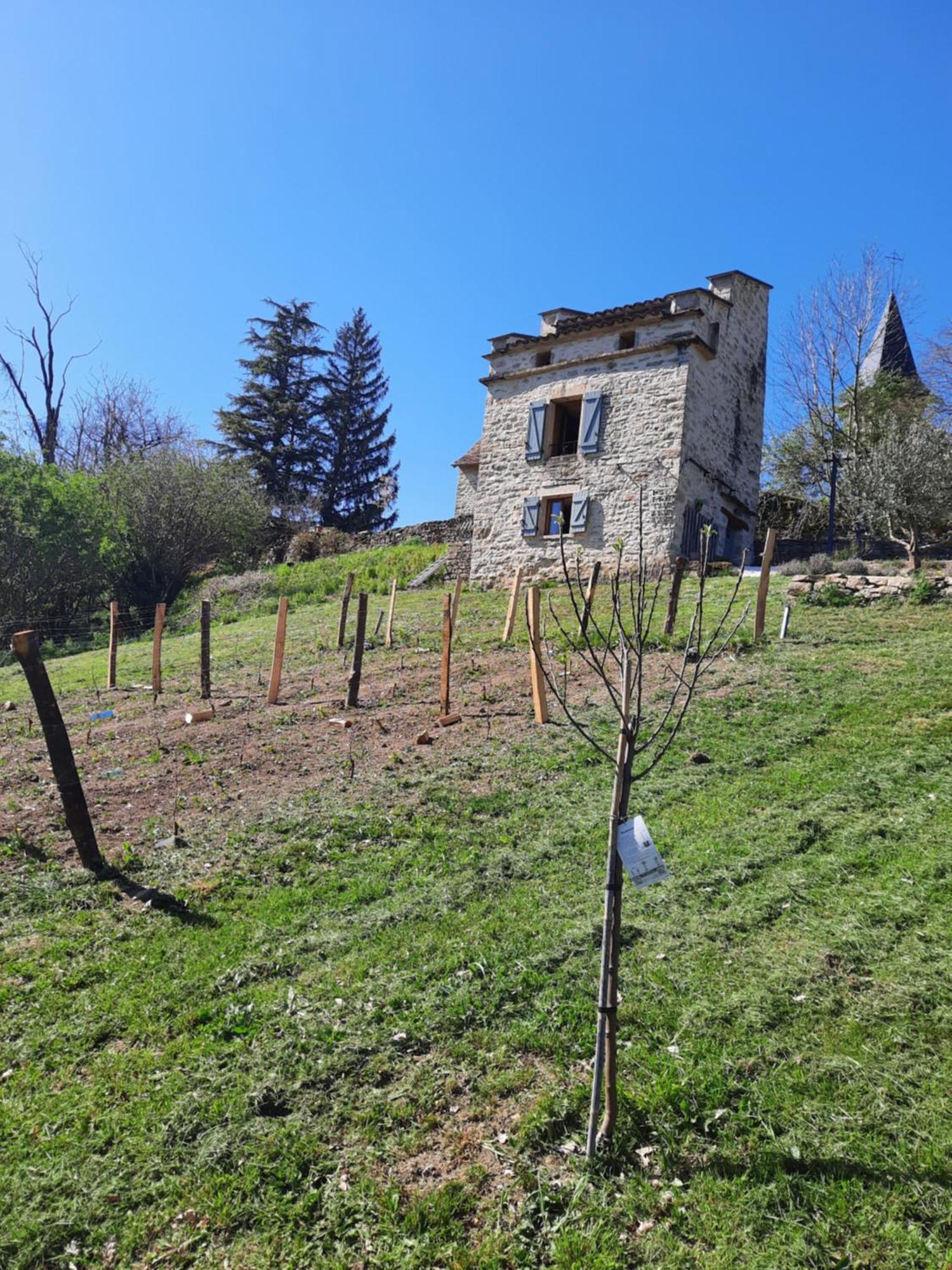 Vila Le Pigeonnier De Felines Caylus Pokoj fotografie